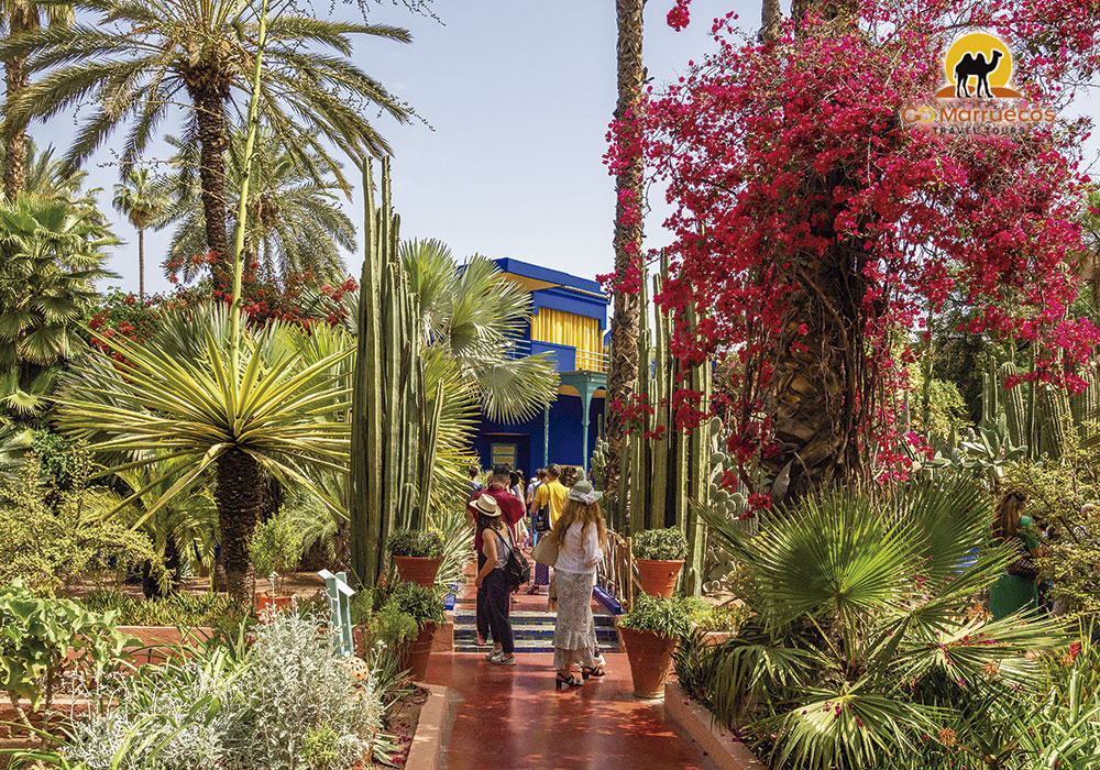 Jardín Majorelle Go Marruecos Travel Tours